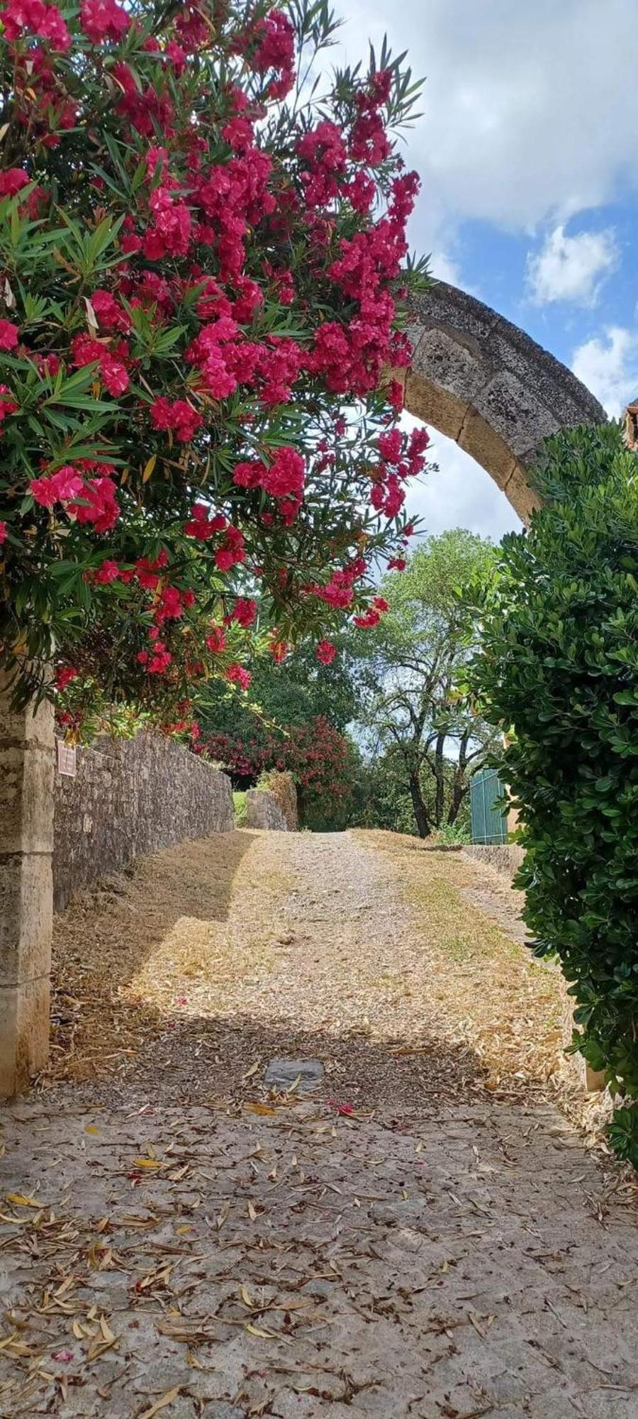 Entrecasteaux Comorebi Provence מראה חיצוני תמונה